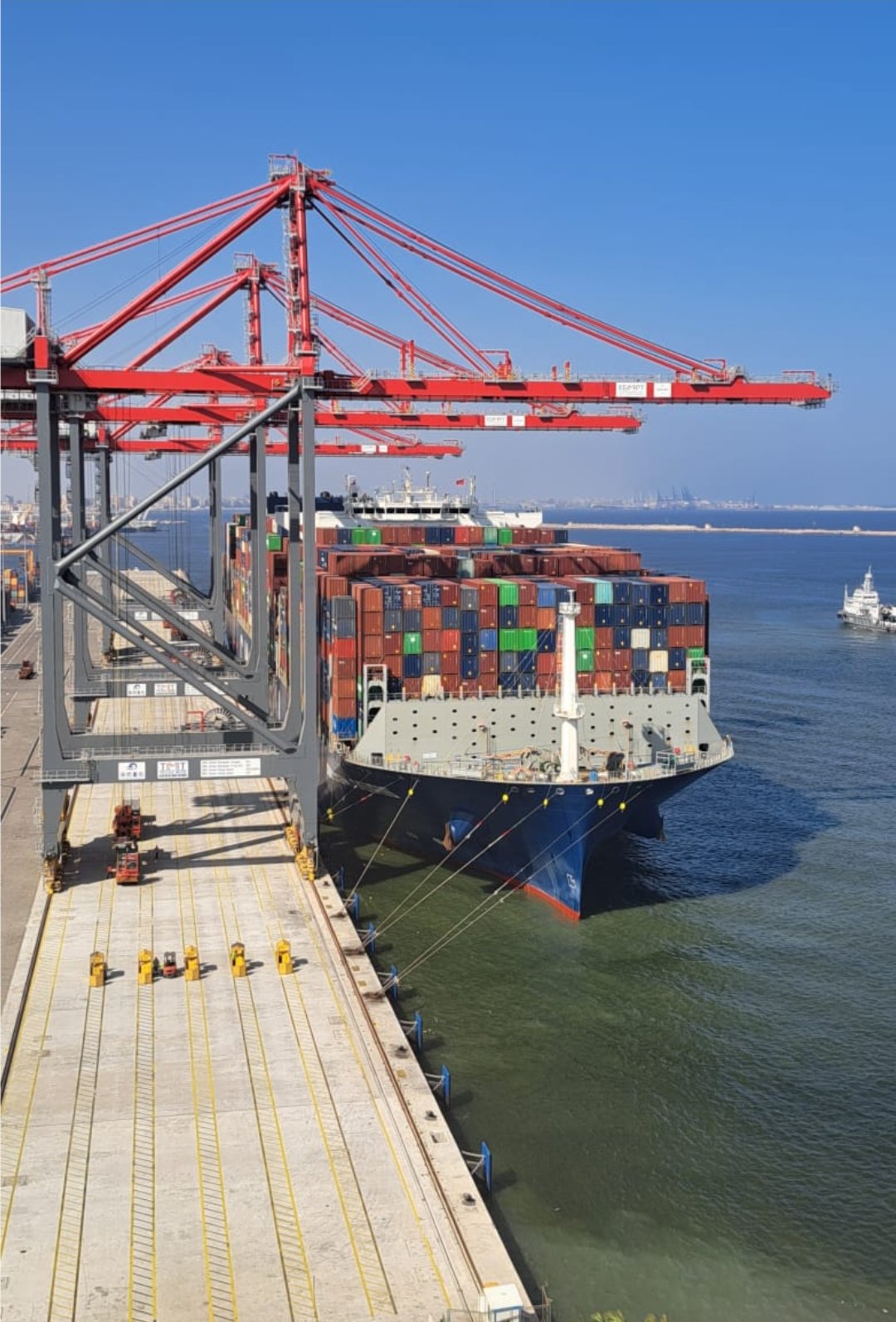 Port Agency Services Egypt